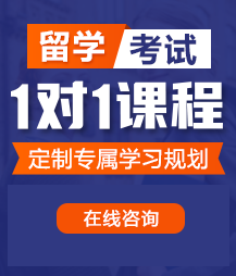 鸡巴好大操死我啊啊啊啊视频留学考试一对一精品课